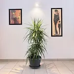 Split Area By Interhome Apartment *