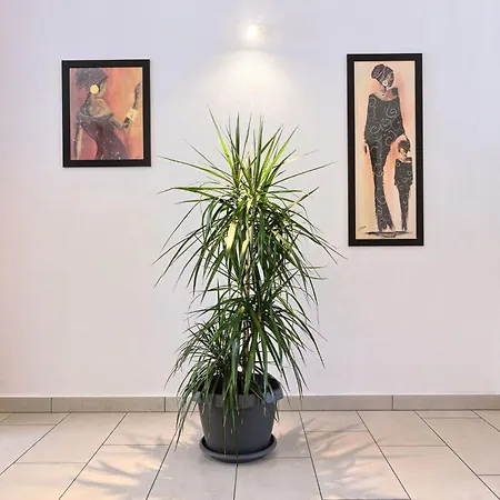 Split Area By Interhome Daire *